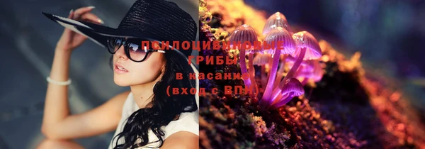 экстази Михайлов