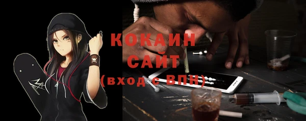 хмурый Михайловск
