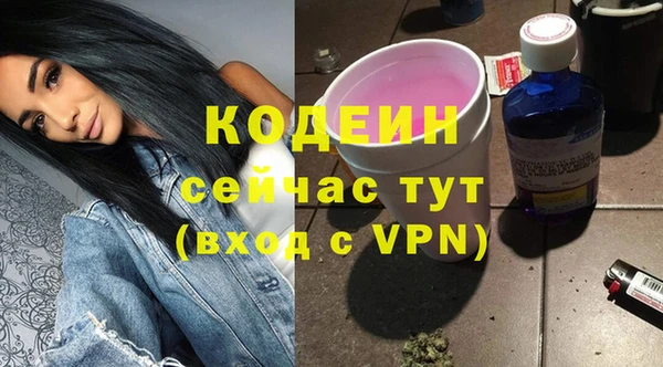 хмурый Михайловск