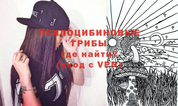 хмурый Михайловск