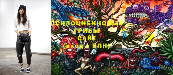 хмурый Михайловск