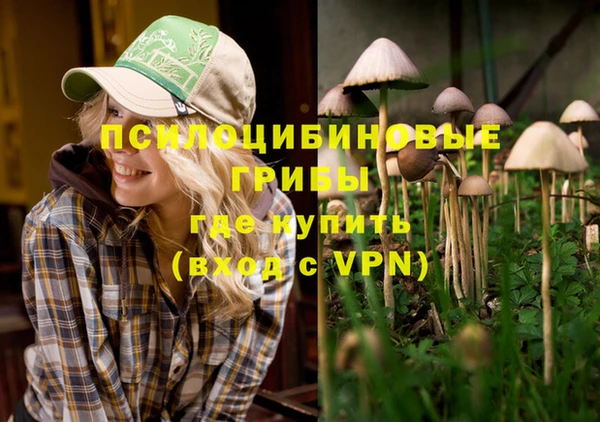 экстази Михайлов