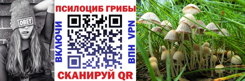 Псилоцибиновые грибы Magic Shrooms  Купить  Улан-Удэ 