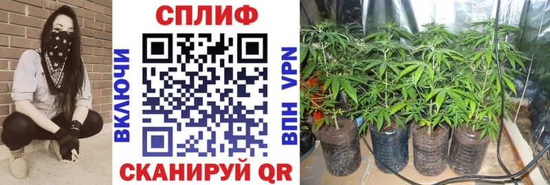 Бошки Шишки THC 21%  Купить закладки  Улан-Удэ 